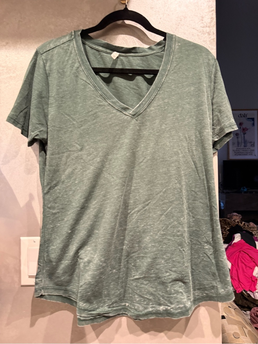 Z Supply Washed Sage V-Neck Short Sleeve Tee
